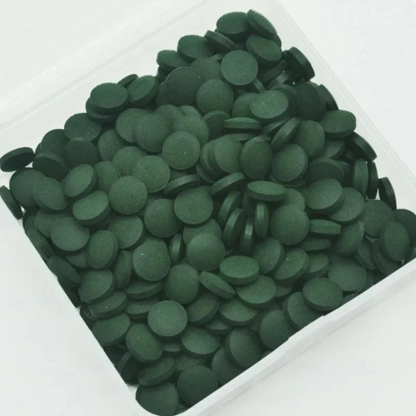 Spirulina Tablets Enrichment Favorite Pet Food fish crystal red shrimp pet food 100/500pcs