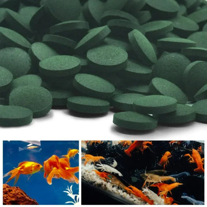Spirulina Tablets Enrichment Favorite Pet Food fish crystal red shrimp pet food 100/500pcs