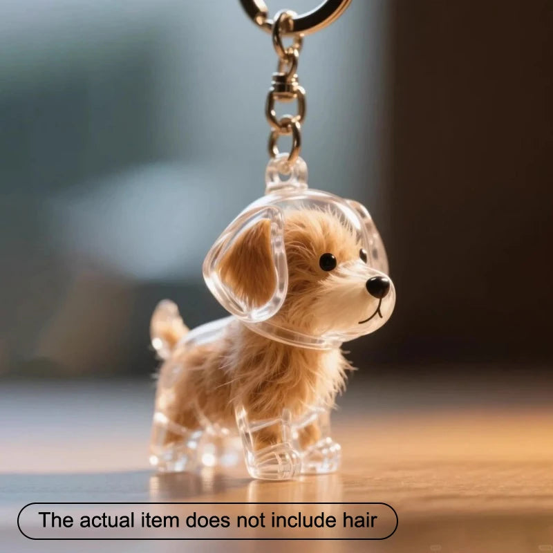 1pcs Dog Hair Collection Pendant Hair Storage Box Bag Charm Pet Pendant Transparent Hair Storage Capsule Dog Souvenirs Gift