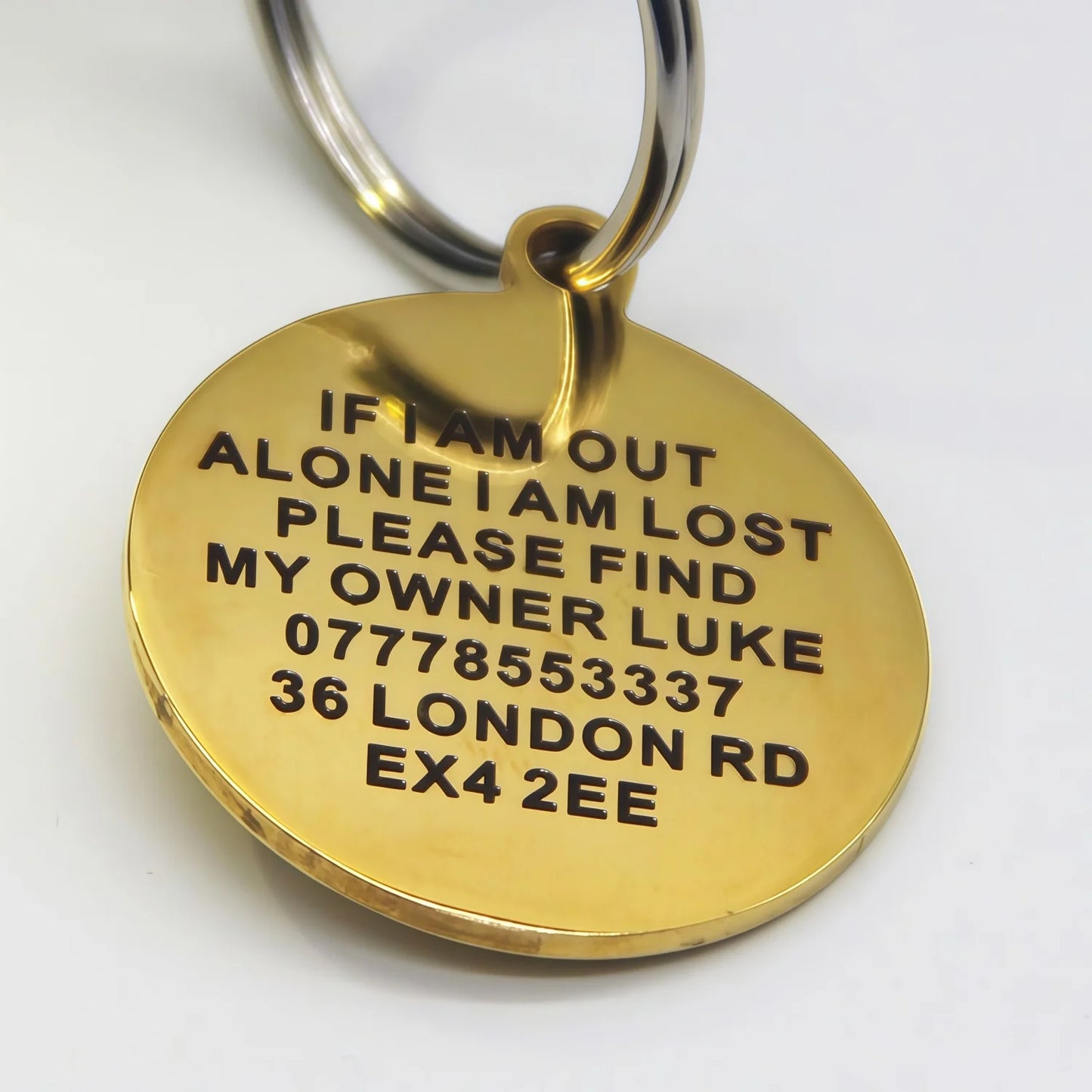 【2025 Hot Sale】Personalised Dog Tag Custom Engraved Pet ID Tag - Waterproof Ground Shape Name Tag for Cats Puppies Collar