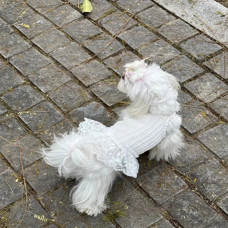 Suspenders Dress for Dogs Solid Lace Puppy Summer Clothes Chihuahua Bichon French Bulldog Girl Dog Dresses Pet Princess Skirt