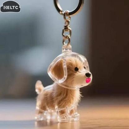 1pcs Dog Hair Collection Pendant Hair Storage Box Bag Charm Pet Pendant Transparent Hair Storage Capsule Dog Souvenirs Gift