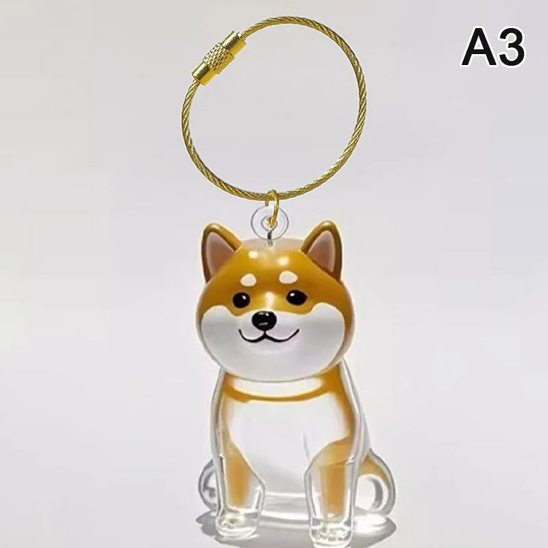 1pcs Dog Hair Collection Pendant Hair Storage Box Bag Charm Pet Pendant Transparent Hair Storage Capsule Dog Souvenirs Gift