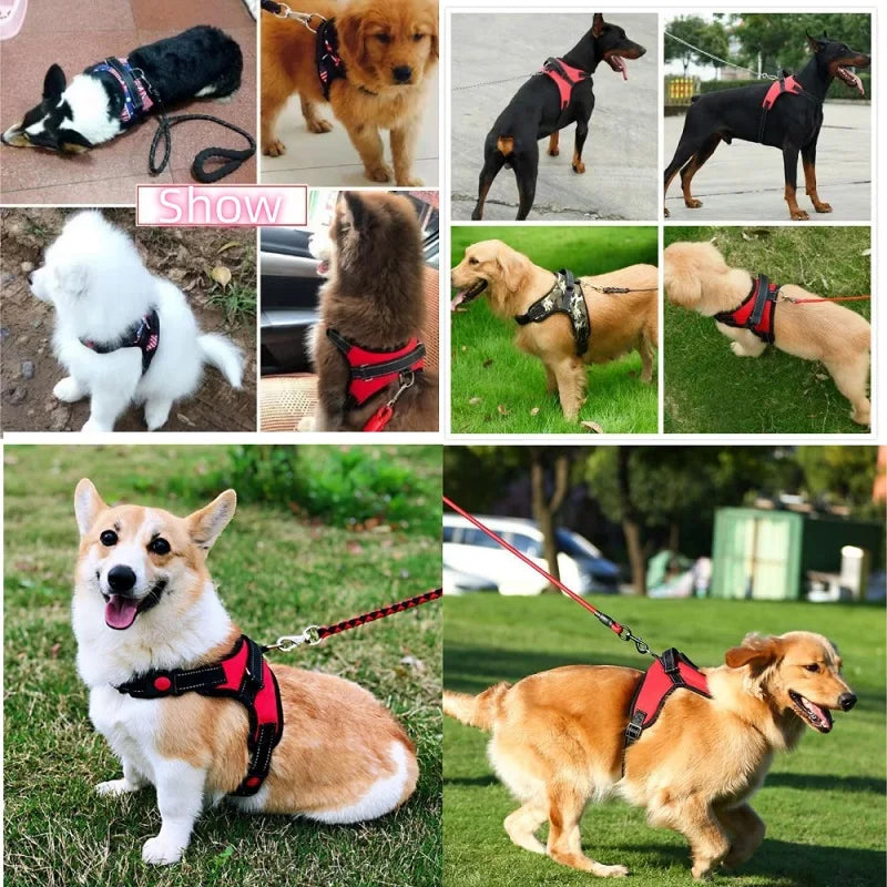 Small Medium Large Dog Harness Strong Harness Vest for Dogs Pet Shop Everything for Dogs Golden Retriever Chihuahua Accessories
