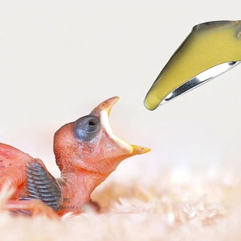 1Pcs Bird Feeders Stainless Steel Parrot Feeding Spoons Durable Baby Bird Feeding Spoons Bird Feeding Supplies Pet Care Tools
