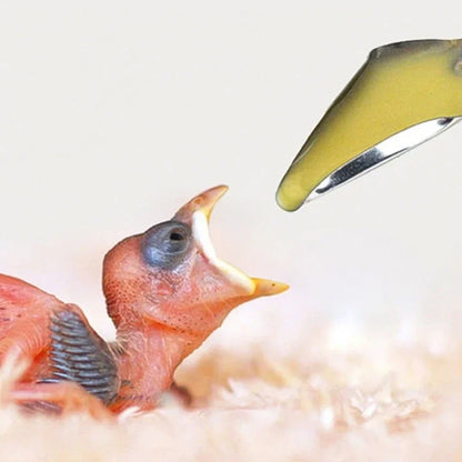 1Pcs Bird Feeders Stainless Steel Parrot Feeding Spoons Durable Baby Bird Feeding Spoons Bird Feeding Supplies Pet Care Tools