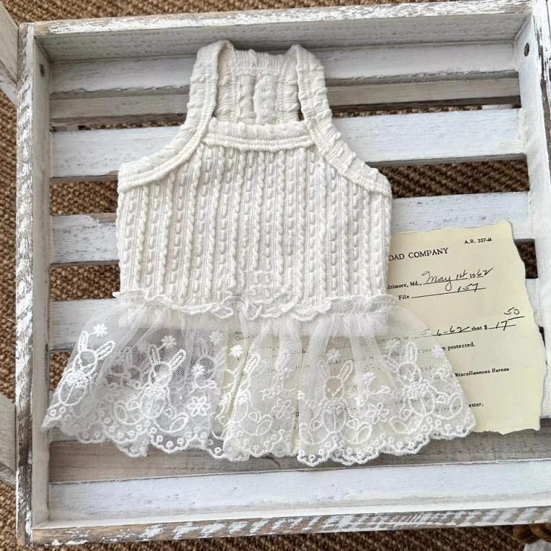 Suspenders Dress for Dogs Solid Lace Puppy Summer Clothes Chihuahua Bichon French Bulldog Girl Dog Dresses Pet Princess Skirt