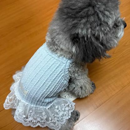 Suspenders Dress for Dogs Solid Lace Puppy Summer Clothes Chihuahua Bichon French Bulldog Girl Dog Dresses Pet Princess Skirt