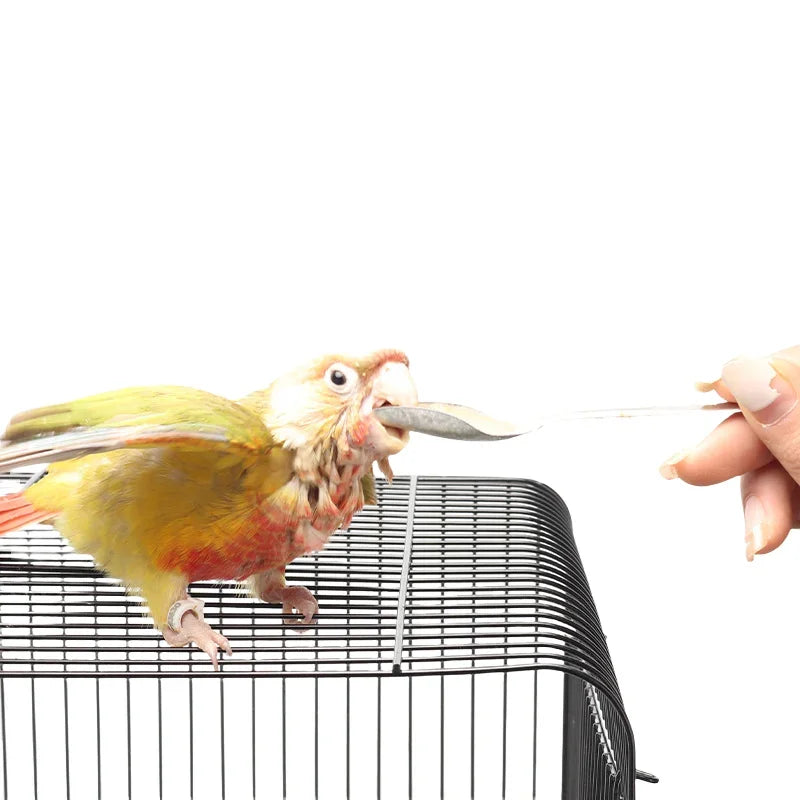 1Pcs Bird Feeders Stainless Steel Parrot Feeding Spoons Durable Baby Bird Feeding Spoons Bird Feeding Supplies Pet Care Tools