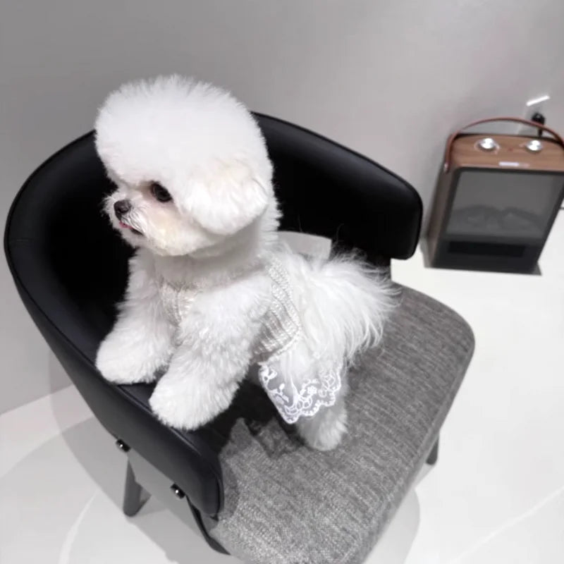 Suspenders Dress for Dogs Solid Lace Puppy Summer Clothes Chihuahua Bichon French Bulldog Girl Dog Dresses Pet Princess Skirt