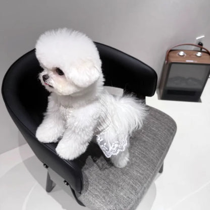 Suspenders Dress for Dogs Solid Lace Puppy Summer Clothes Chihuahua Bichon French Bulldog Girl Dog Dresses Pet Princess Skirt