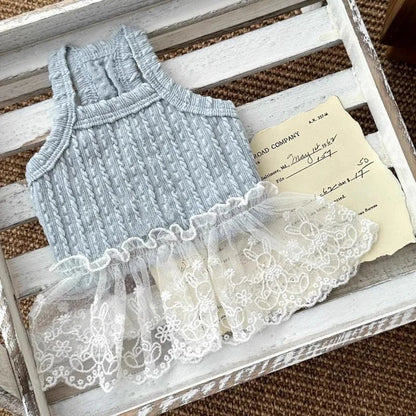 Suspenders Dress for Dogs Solid Lace Puppy Summer Clothes Chihuahua Bichon French Bulldog Girl Dog Dresses Pet Princess Skirt