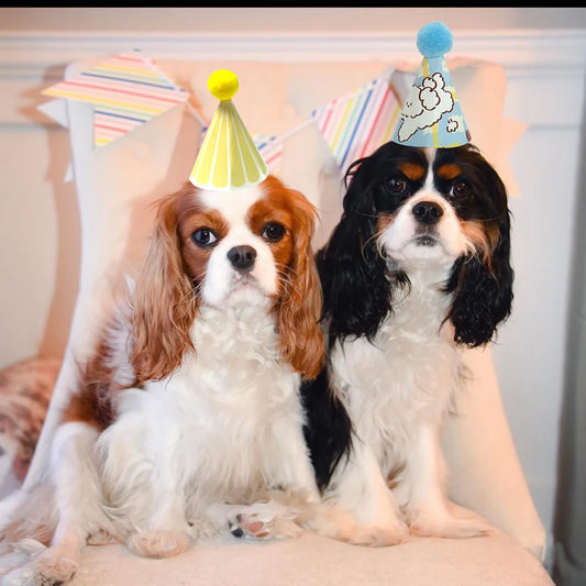 2025 Colorful Pet Birthday Party Decoration Mini Creative Dog Cat Birthday Hat Pet Birthday Decoration Hat