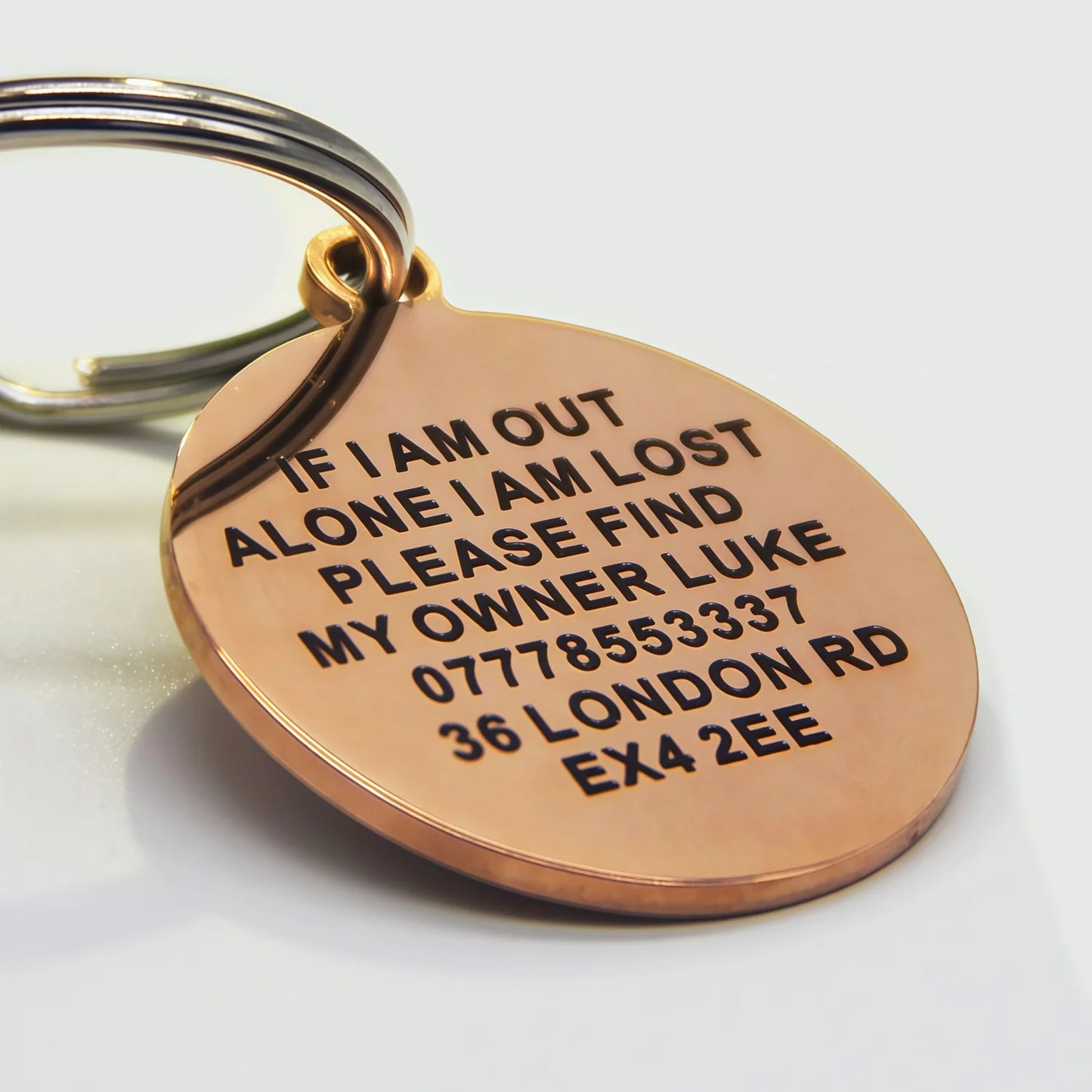 【2025 Hot Sale】Personalised Dog Tag Custom Engraved Pet ID Tag - Waterproof Ground Shape Name Tag for Cats Puppies Collar